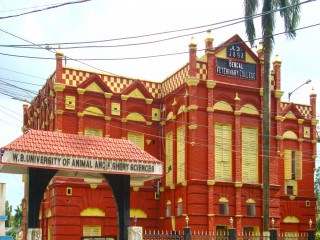 West Bengal University of Animal and Fishery Sciences