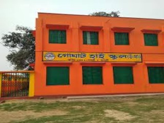 Goghat High School